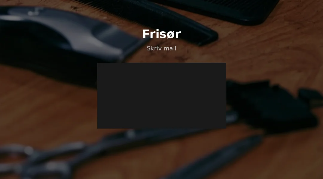 Eksempel på en virksomhed uden en professionel hjemmeside